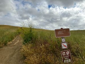 Chino Hills State Park Bane Ridge Trail